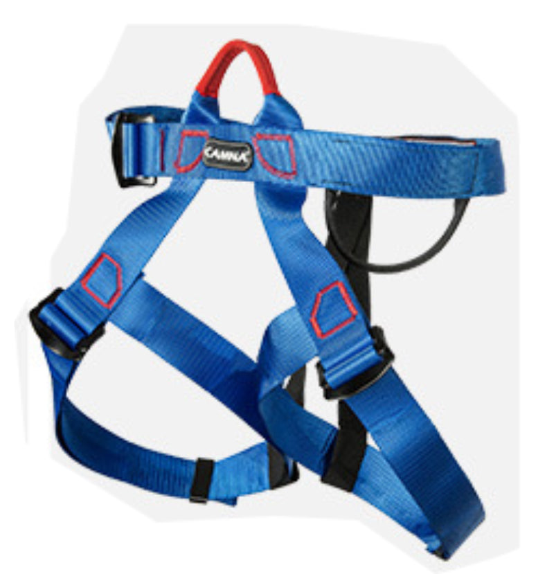 Camping and Survival/ Rock climbing, Abseiling harness